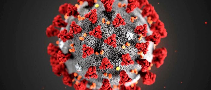 Close-up digital illustration of the SARS-CoV-2 virus, with red spike proteins on a grey, spherical viral surface.