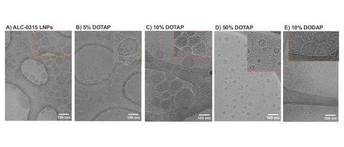 5 panel figure showing different lipid nanoparticle formulations with differing amounts of membrane blebbing