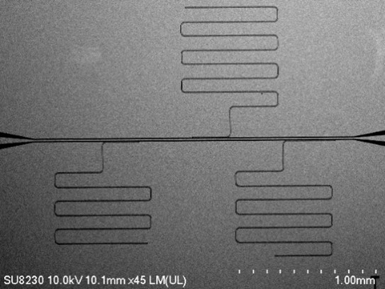 SEM image of Ta CPW resonators