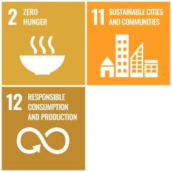 United Nations Sustainable Development Goals Collage