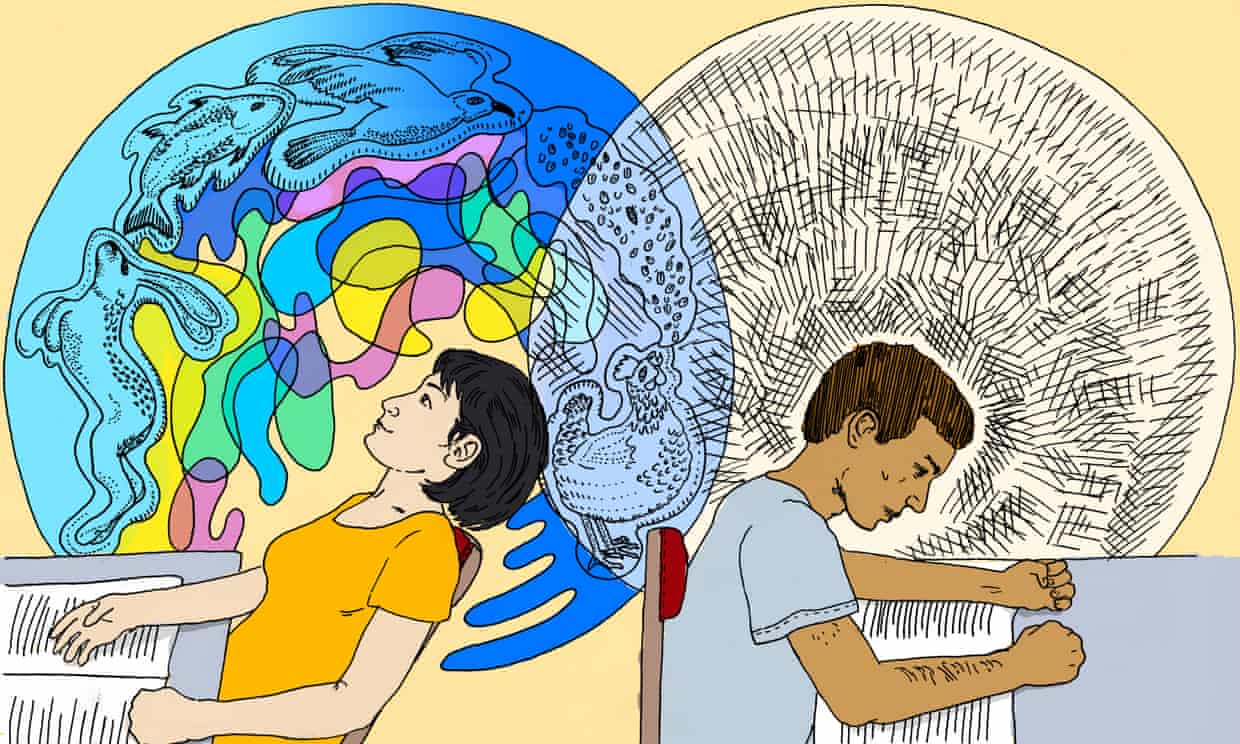 digital drawing of 2 students at their respective desks, with an open book or notebook, back to back. The student to the left, a white young woman with short black hair, is surrounded by a colourful halo of abstract and animal forms, and tilts her chair back in a relaxed manner. The student to the right, a young black man hunched over his notebook, is surrounded by a stark black and white halo