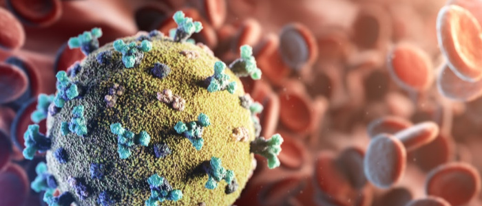 Microscope close up of COVID-19 virus