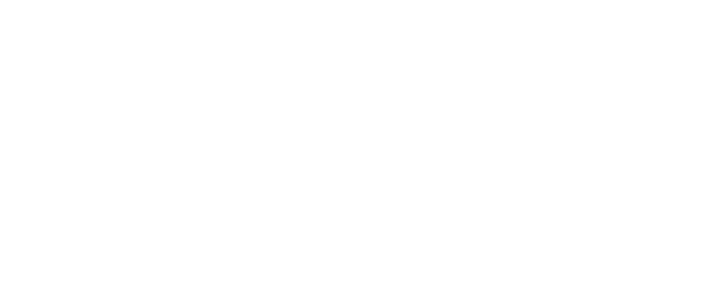 Values icon