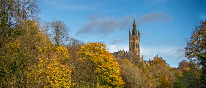 The Tower taken from a distance with leafy trees in the foreground
