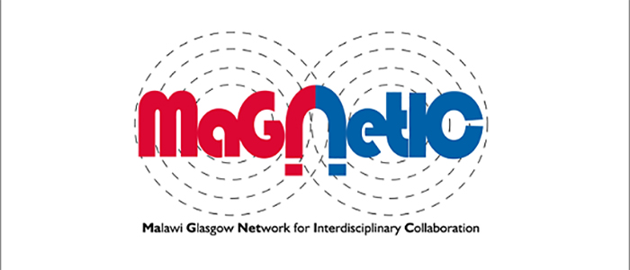MaGNetIC logo