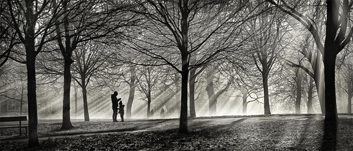Black and white photo of winter sunbeams beaming between the trees in Victoria Park, Glasgow with a parent and child in silhouette
