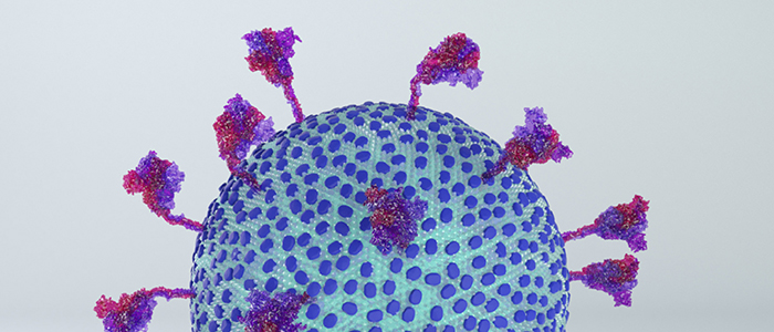 An animation of SARS-CoV-2 designed by Annabel Slater
