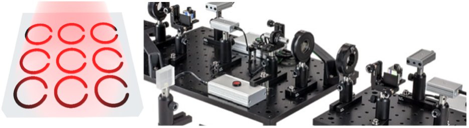 Quantum Information Cluster