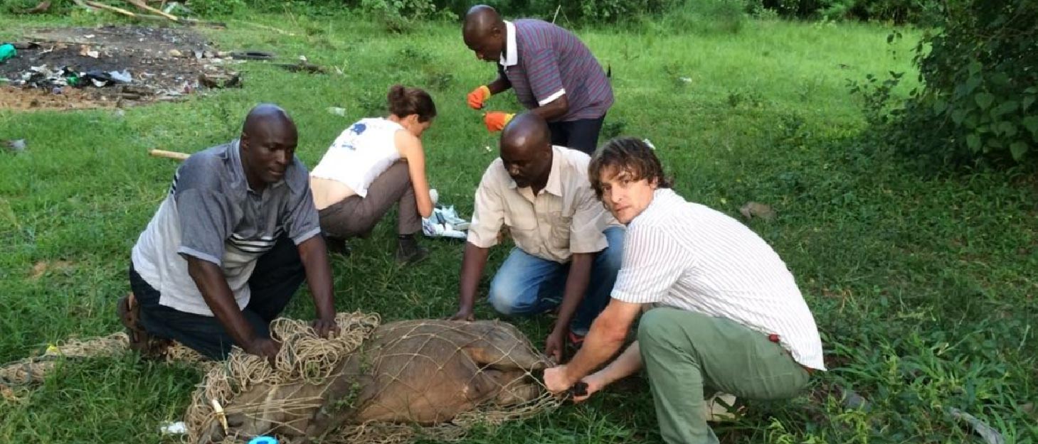 A group of people crouching around an animal in Uganda
