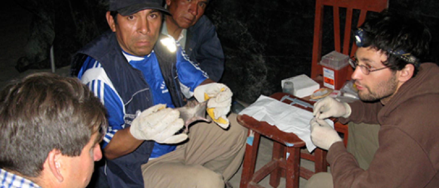 Group of people surrounding a bat in the darkness in Peru.