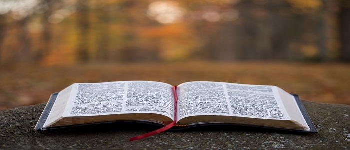 An opened book on top of a rock around a forest surrounded by trees blurred out. Source: Unsplash: Aaron Buden link: https://unsplash.com/photos/9zsHNt5OpqE